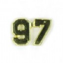 Class Of 97 Reunion Souvenir Lapel Pin