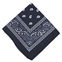Blue Bandana