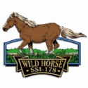 Imprint Magnet Wild Horse
